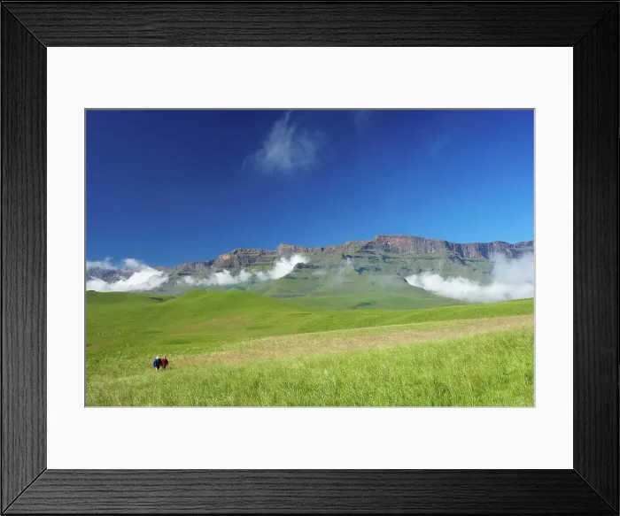 Framed Print : Hikers with Eland (Taurotragus oryx) herd with Drakensberg in background Framed Print : Hikers with Eland (Taurotragus oryx) herd with Drakensberg in background