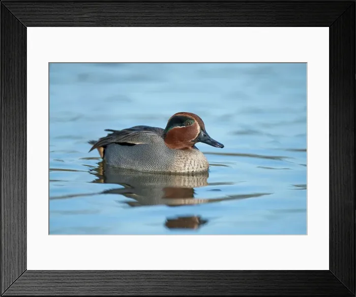 Framed Print : United Kingdom, England, Norfolk Framed Print : United Kingdom, England, Norfolk