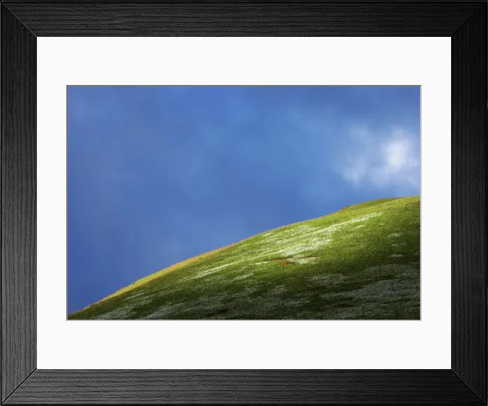 Framed Print : Hillside in early morning light Framed Print : Hillside in early morning light