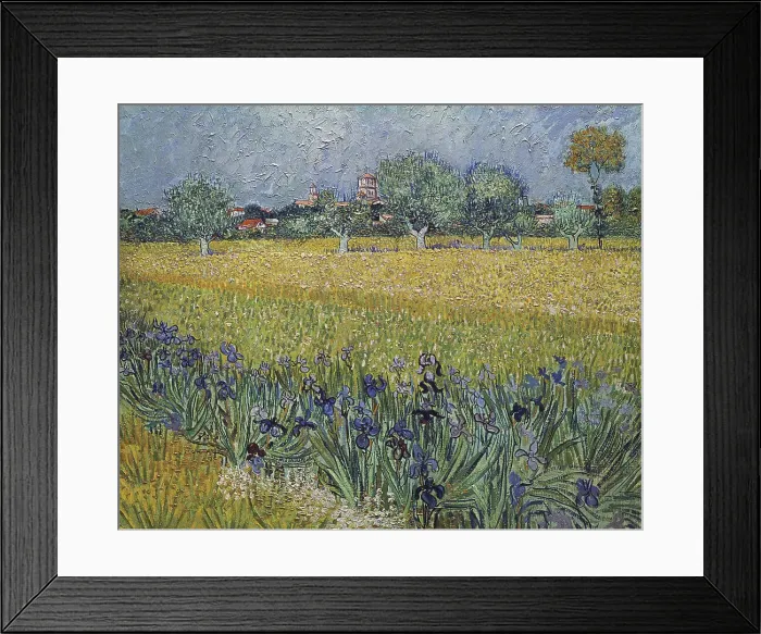 Framed Print : View of Arles with Irises by van Gogh Framed Print : View of Arles with Irises by van Gogh