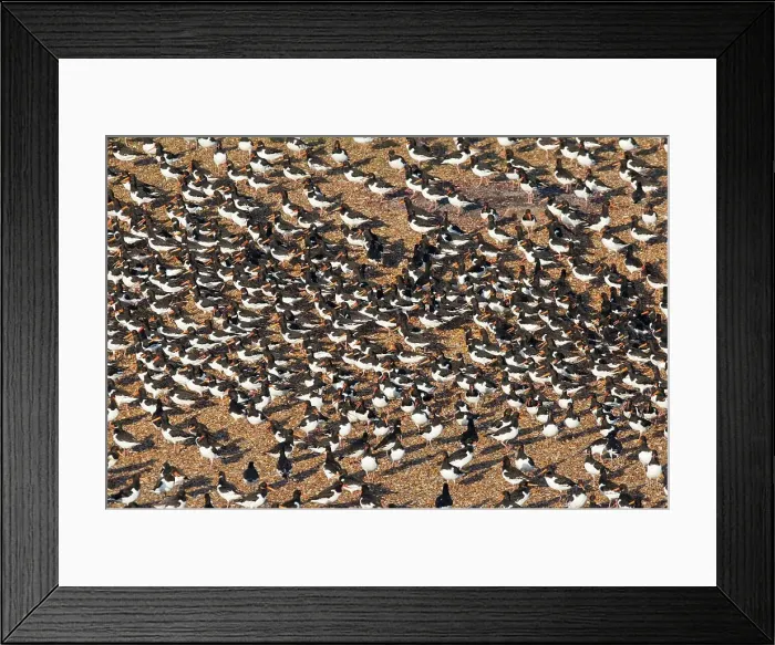 Framed Print : United Kingdom, England, Norfolk Framed Print : United Kingdom, England, Norfolk