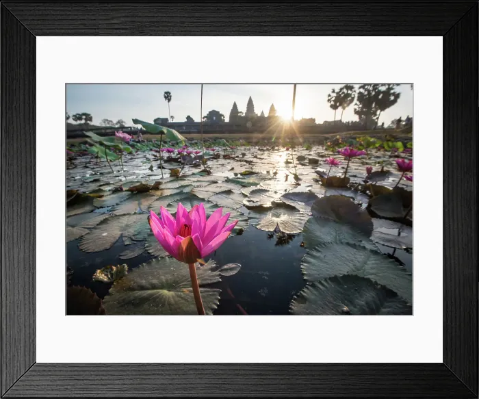 Framed Print : Angkor Wat Cambodia LEX Lotus Max Seigal Mekong River