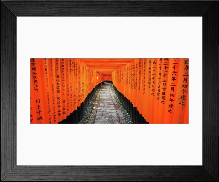 Framed Print : DSC-RX100M3 Japan Fuji Mount Fuji Mt Fuji Cherry Blossom Framed Print : DSC-RX100M3 Japan Fuji Mount Fuji Mt Fuji Cherry Blossom