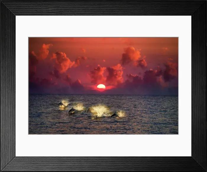 Framed Print : Albania Croatia Greece Lindblad Mediterranean Framed Print : Albania Croatia Greece Lindblad Mediterranean