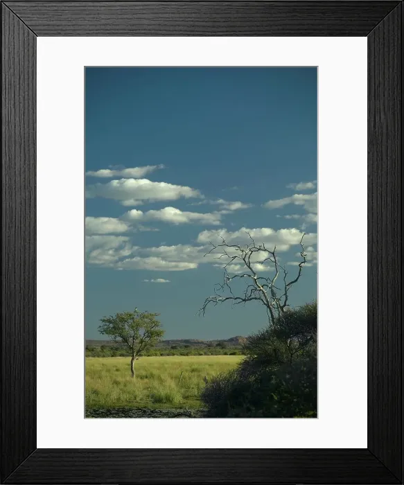 Framed Print : Nel's Vlei with Blackbrested Snake Eagle (Circeatus gallicus) in tree Framed Print : Nel's Vlei with Blackbrested Snake Eagle (Circeatus gallicus) in tree