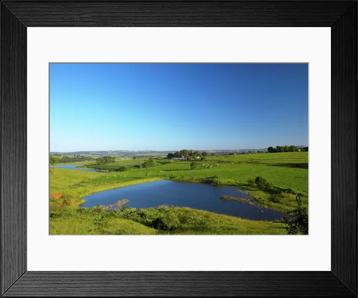 Framed Print : Rural Scene near Howick