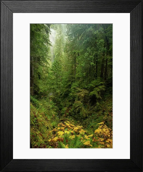 Framed Print : Olympia Oregon Road Trip Washington California Framed Print : Olympia Oregon Road Trip Washington California