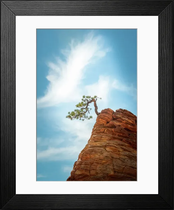 Framed Print : Outdoors Rock - Object No People Sky Nature Tree Framed Print : Outdoors Rock - Object No People Sky Nature Tree