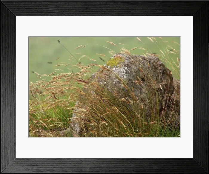 Framed Print : Grass and rock at Giants Castle
