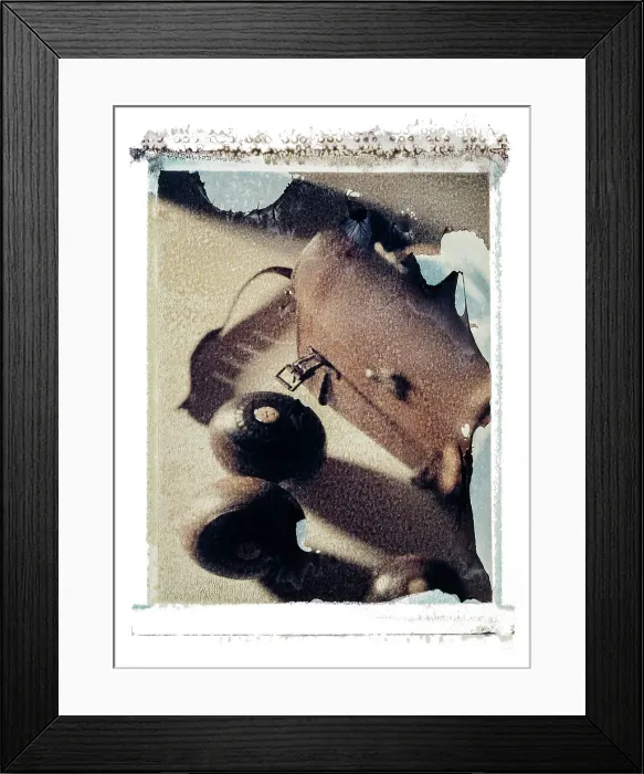 Framed Print : Polaroid Transfer Framed Print : Polaroid Transfer