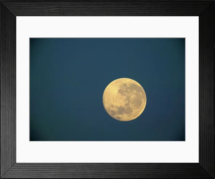 Framed Print : The Moon from Mashatu Game Reserve Framed Print : The Moon from Mashatu Game Reserve
