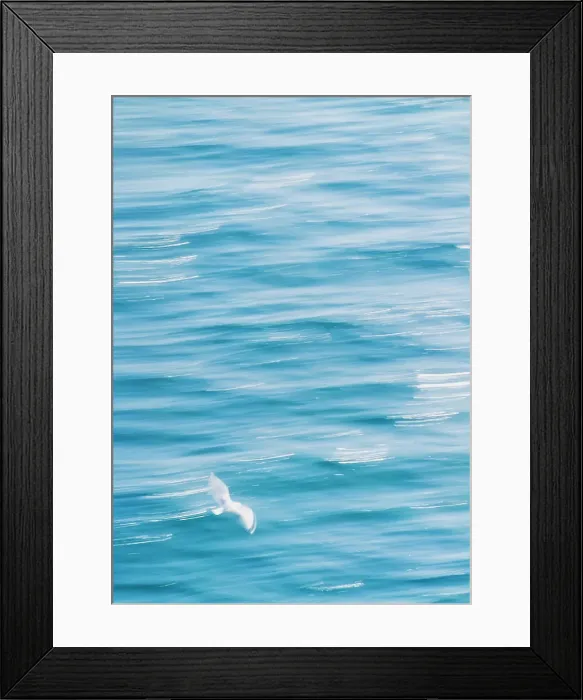 Framed Print : Seagull. Lone Seagull flying over waves Framed Print : Seagull. Lone Seagull flying over waves