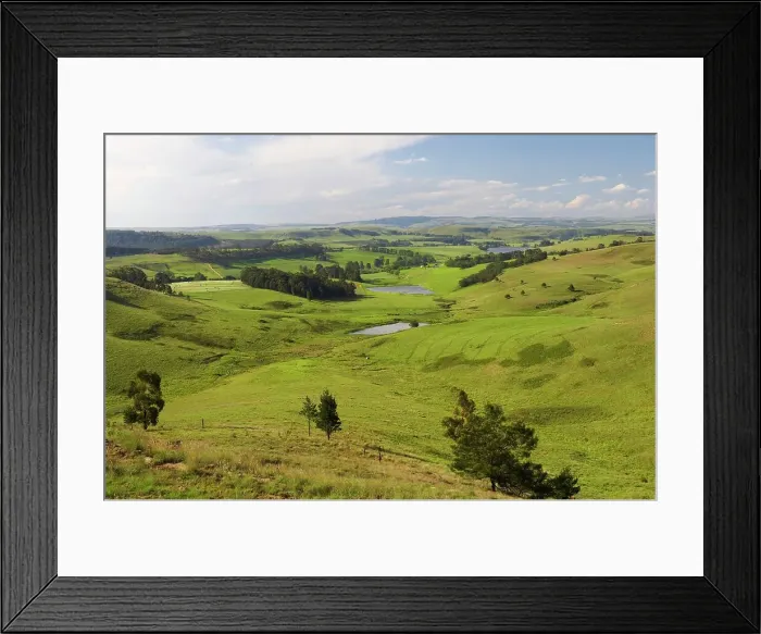 Framed Print : Rural Scene. near Rosetta. KwaZulu Natal