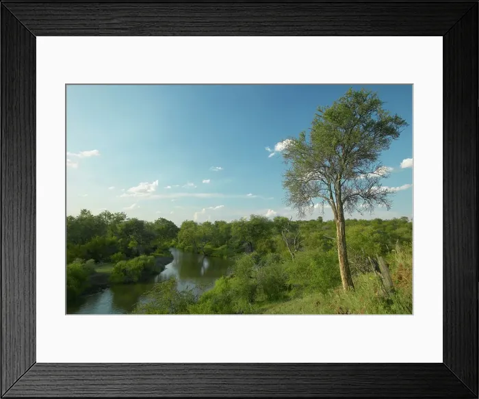 Framed Print : View at Naledi Game Reserve. Northern Tuli Game Reserve