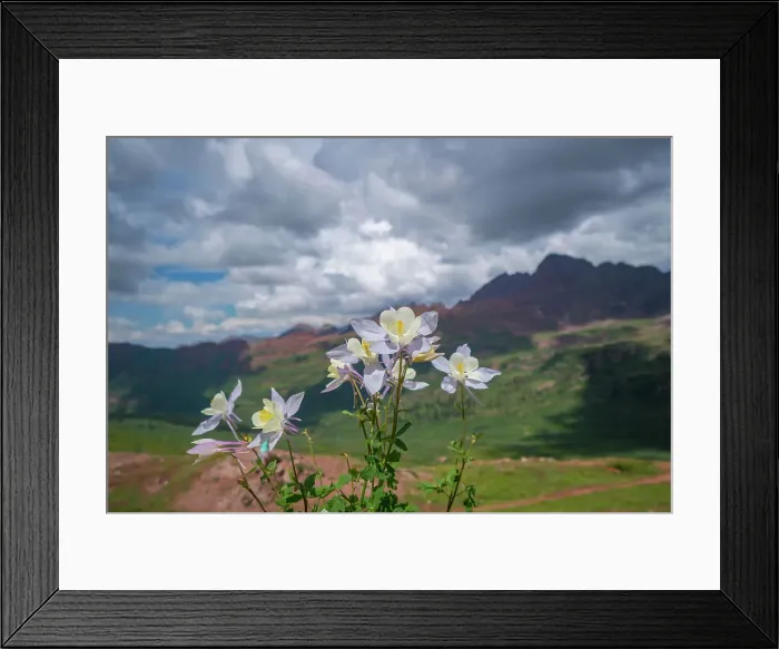 Framed Print : Colorado Cloud - Sky Copy Space Outdoors No People Framed Print : Colorado Cloud - Sky Copy Space Outdoors No People