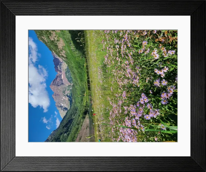 Framed Print : Max Wilderness Maxwilderness Colorado Aspecolorado Framed Print : Max Wilderness Maxwilderness Colorado Aspecolorado