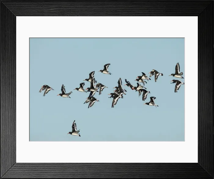 Framed Print : United Kingdom, England, Norfolk Framed Print : United Kingdom, England, Norfolk