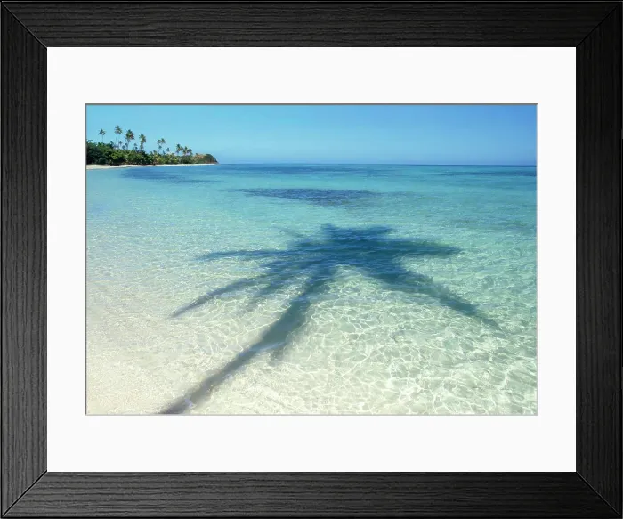 Framed Print : Shadows of palm tree on tropical water on coastline of Island