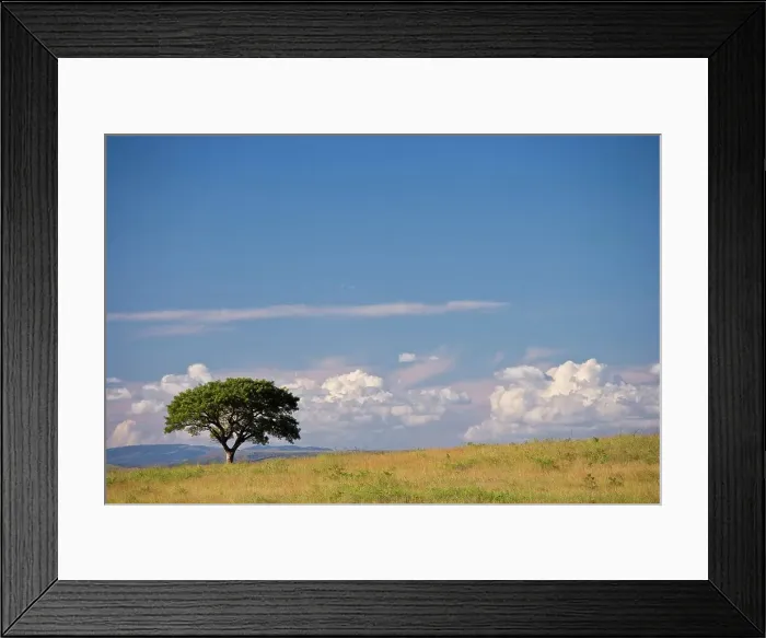Framed Print : Itala Game Reserve. KwaZulu Natal. South Africa