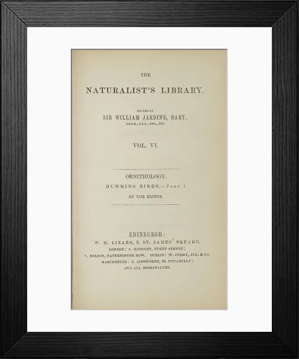 Framed Print : 1835 Antique Art Biology Bird Birds Classification Framed Print : 1835 Antique Art Biology Bird Birds Classification