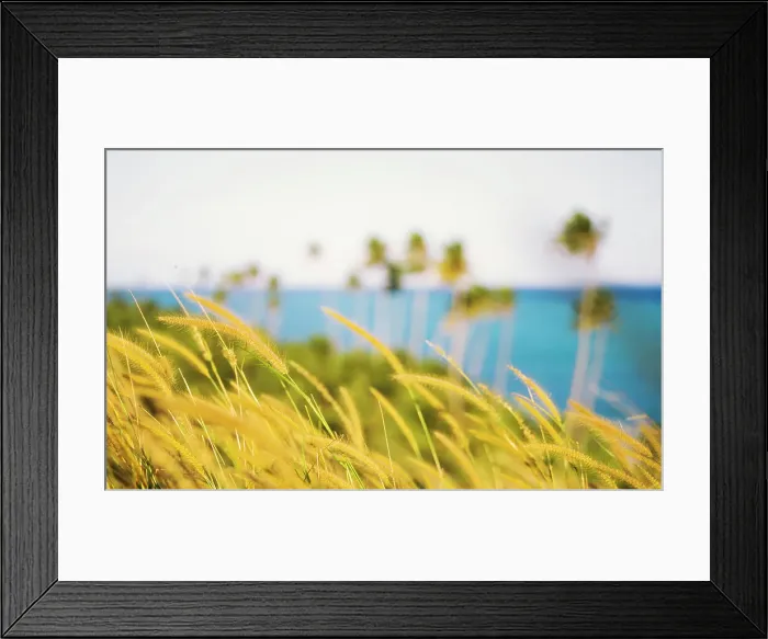 Framed Print : Tropical Island Framed Print : Tropical Island