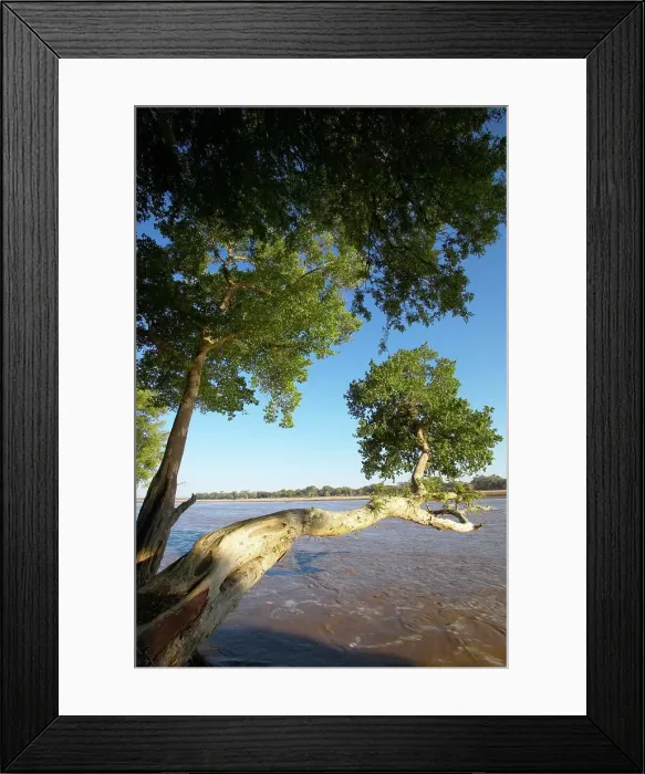 Framed Print : The Shashe River near the convluence with the Limpopo River Framed Print : The Shashe River near the convluence with the Limpopo River