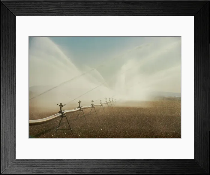 Framed Print : Irrigation Framed Print : Irrigation