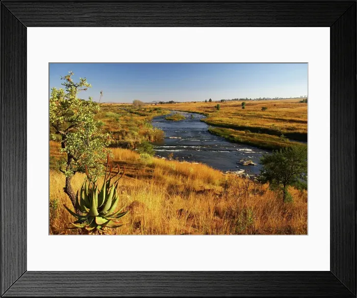 Framed Print : The Buffalo River near Fugitive's Drift Framed Print : The Buffalo River near Fugitive's Drift