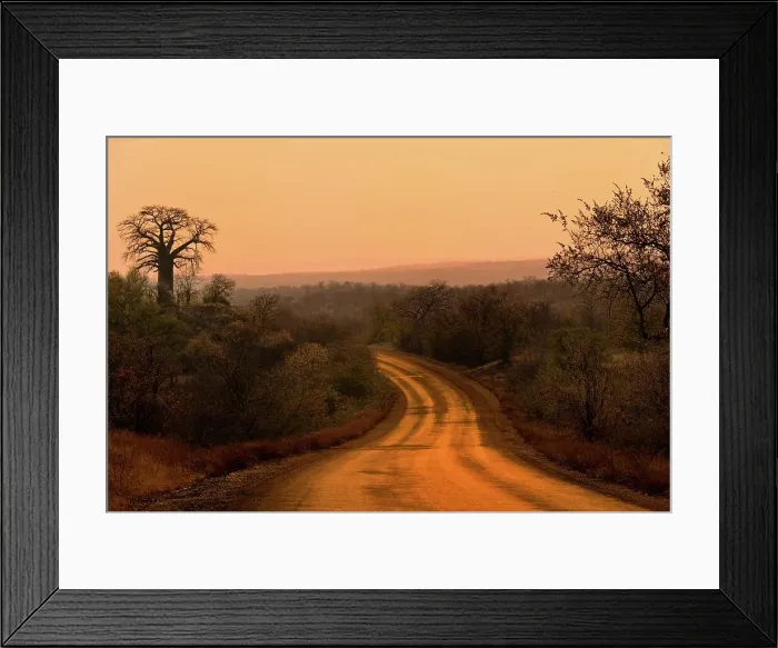 Framed Print : View of Baobab Hill is just to the west of the H1-8 that links Punda Maria Camp to the Pafuri area in the north of Framed Print : View of Baobab Hill is just to the west of the H1-8 that links Punda Maria Camp to the Pafuri area in the north of