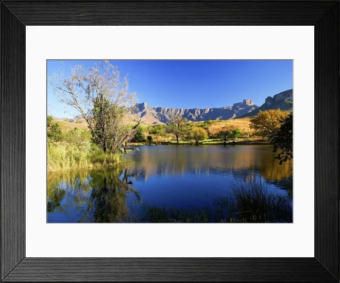 Framed Print : Royal Natal National Park with the Amphitheatre in the background Framed Print : Royal Natal National Park with the Amphitheatre in the background
