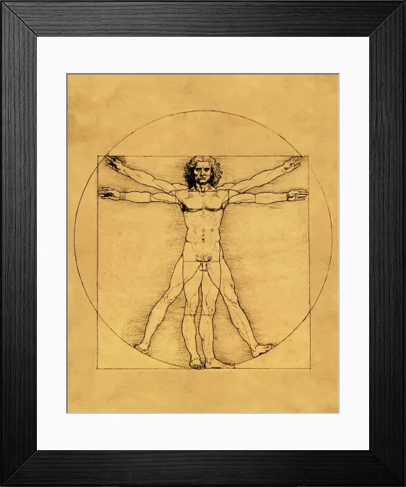 Framed Print : Proportions of the Human Figure by da Vinci Framed Print : Proportions of the Human Figure by da Vinci