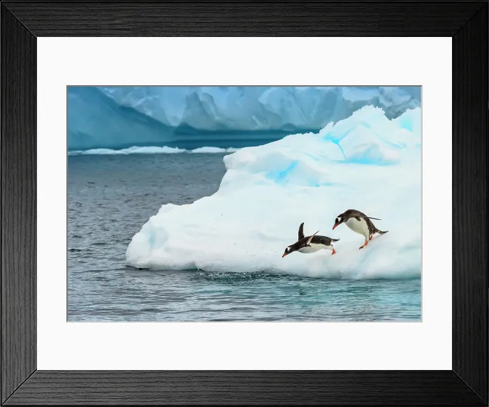 Framed Print : Adventure Adventure Travel Antarctica Blue Ice Framed Print : Adventure Adventure Travel Antarctica Blue Ice