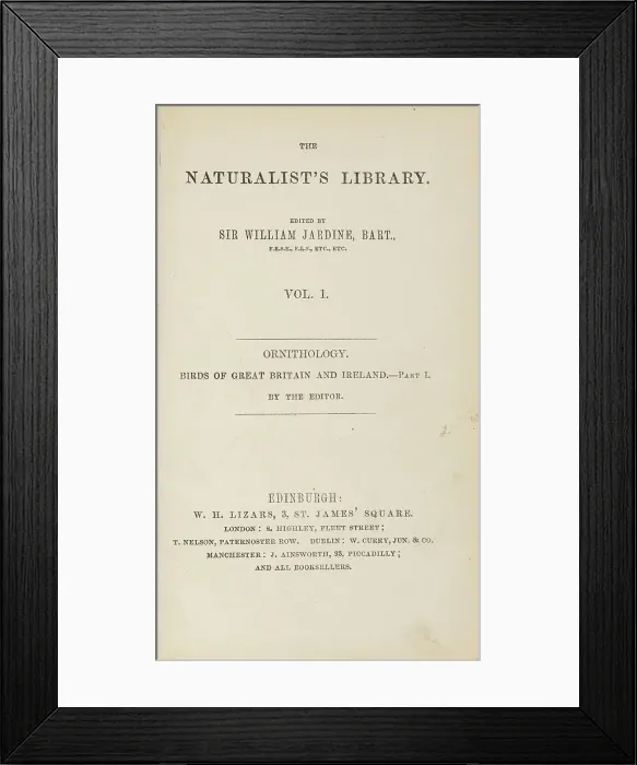 Framed Print : 1835 Antique Art Biology Bird Birds Classification Framed Print : 1835 Antique Art Biology Bird Birds Classification