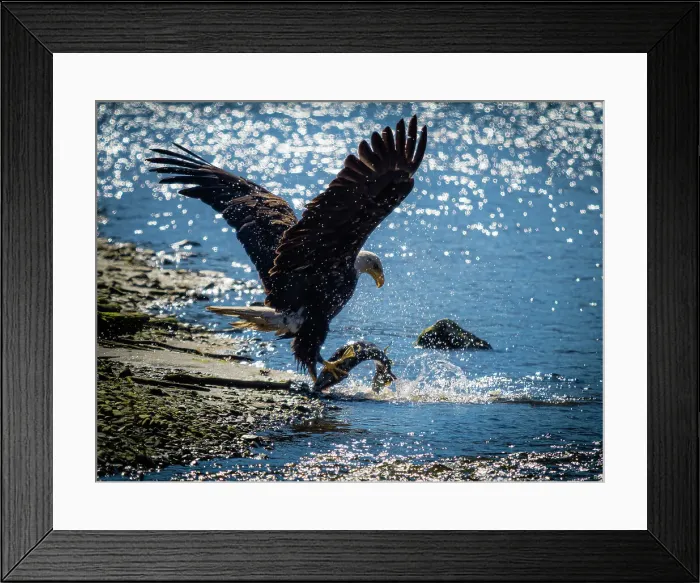 Framed Print : Alaska Alaska'a Inside Passage Alaska'a Inside Passage Juneau Framed Print : Alaska Alaska'a Inside Passage Alaska'a Inside Passage Juneau