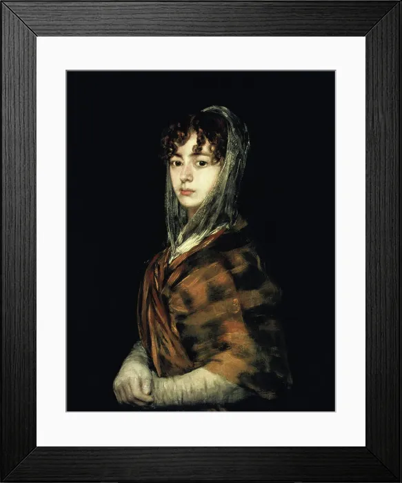 Framed Print : Senora Sabasa Garcia by Goya Framed Print : Senora Sabasa Garcia by Goya