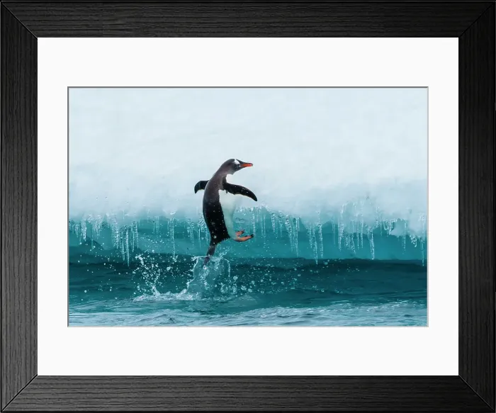 Framed Print : Adventure Adventure Travel Antarctica Blue Ice Framed Print : Adventure Adventure Travel Antarctica Blue Ice