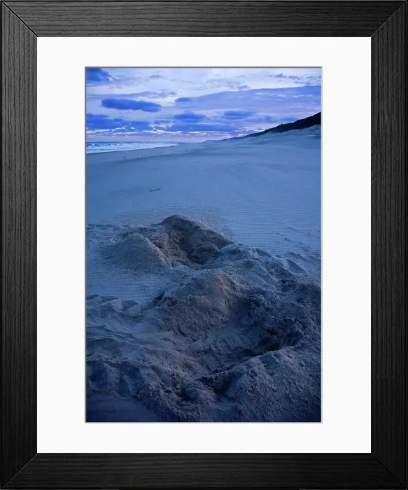 Framed Print : Loggerhead Turtle (Caretta caretta) tracks on beach