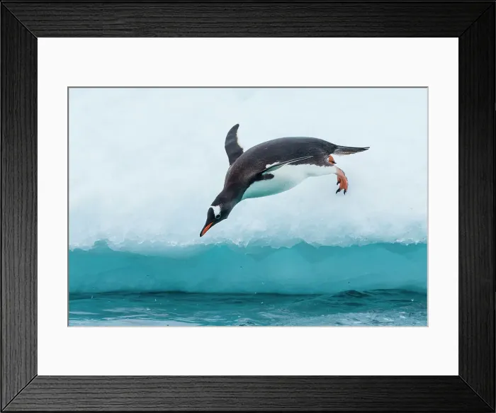 Framed Print : Adventure Adventure Travel Antarctica Blue Ice Framed Print : Adventure Adventure Travel Antarctica Blue Ice