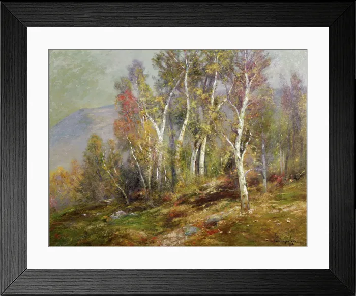 Framed Print : Autumn Birches in Catskills by Gay Framed Print : Autumn Birches in Catskills by Gay
