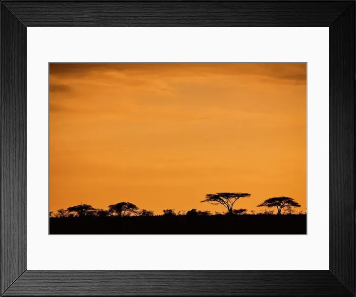 Framed Print : Hluhluwe iMfolozi Park. KwaZulu Natal Framed Print : Hluhluwe iMfolozi Park. KwaZulu Natal