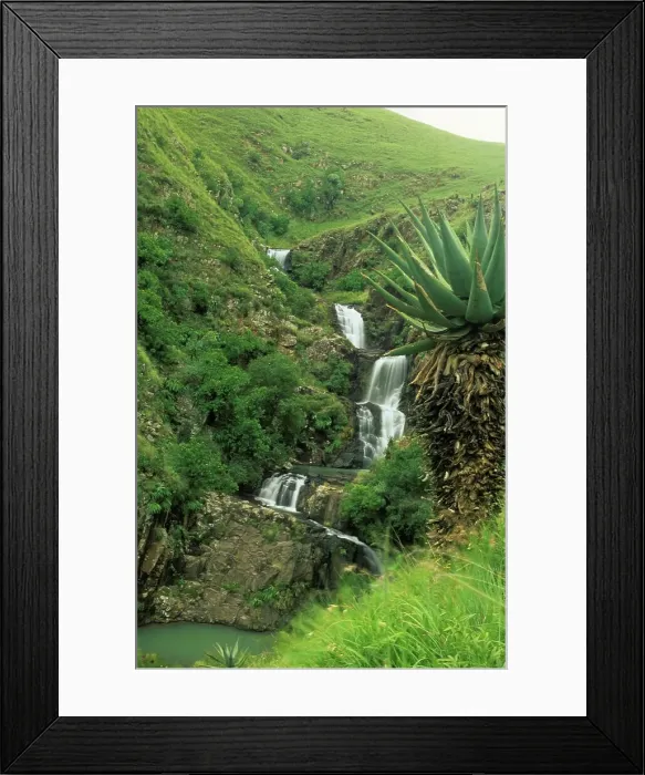 Framed Print : View. Jacobs Ladder Falls. Loteni Nature Reserve Framed Print : View. Jacobs Ladder Falls. Loteni Nature Reserve