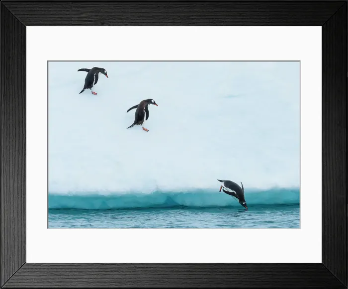 Framed Print : Adventure Adventure Travel Antarctica Blue Ice