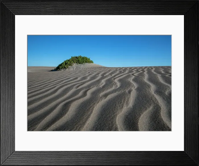 Framed Print : dunes on magdelena Bay Framed Print : dunes on magdelena Bay