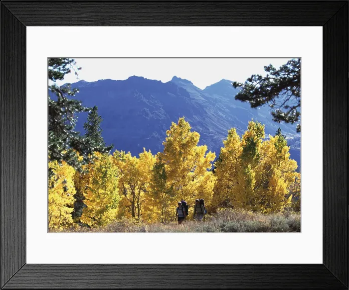 Framed Print : Jessica Sobolowski (model release # 4-12-00) and Randy Hood (model release # 10-16-01) hiking at Sonora Pass, CA Framed Print : Jessica Sobolowski (model release # 4-12-00) and Randy Hood (model release # 10-16-01) hiking at Sonora Pass, CA