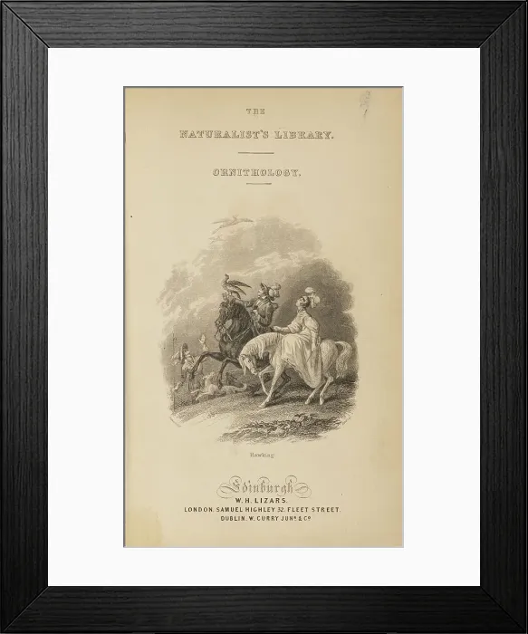 Framed Print : 1835 Antique Art Biology Bird Birds Classification Framed Print : 1835 Antique Art Biology Bird Birds Classification