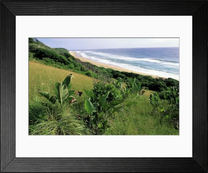 Framed Print : A typical beach scene along the Maputaland Coast Framed Print : A typical beach scene along the Maputaland Coast