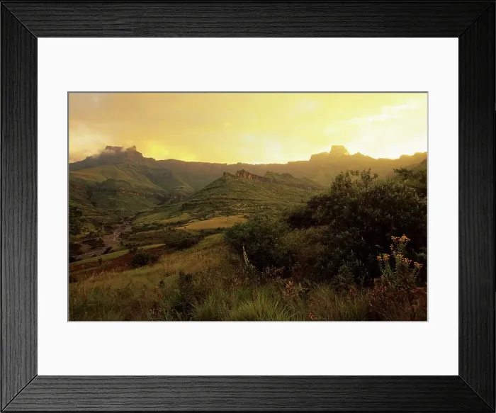 Framed Print : The Amphitheatre. Royal Natal National Park Framed Print : The Amphitheatre. Royal Natal National Park