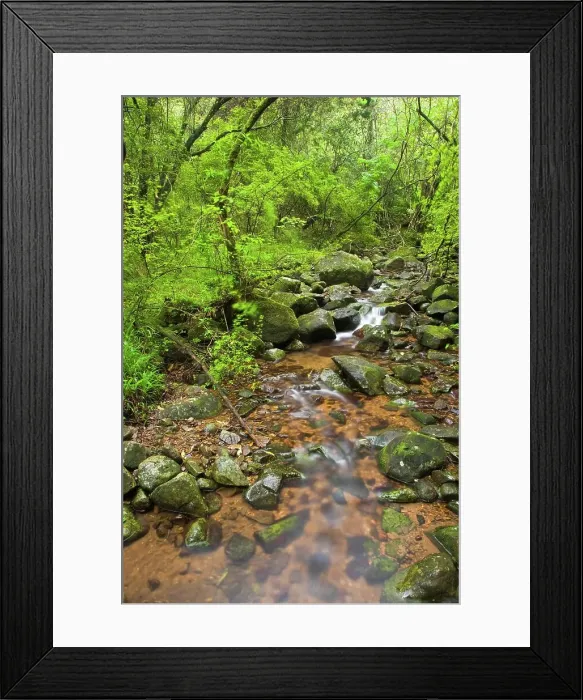 Framed Print : Stream in the Karkloof. Howick Framed Print : Stream in the Karkloof. Howick