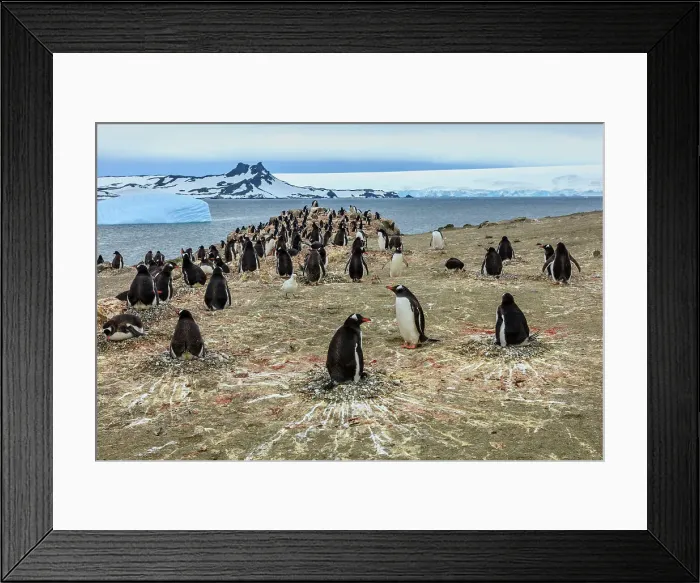 Framed Print : Adventure Adventure Travel Aitcho Island Aitcho Islands Framed Print : Adventure Adventure Travel Aitcho Island Aitcho Islands