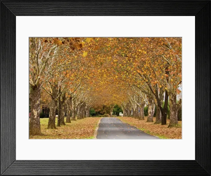Framed Print : Underberg. KwaZulu Natal. South Africa Framed Print : Underberg. KwaZulu Natal. South Africa